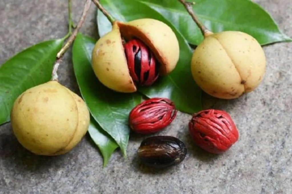 Manfaat Dari Buah Pala